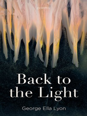 cover image of Back to the Light
